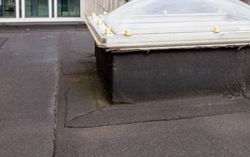 disadvantages of Ballyhackamore flat roofs