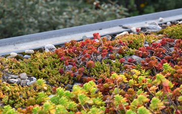 the cost of Ballyhackamore green roof installation