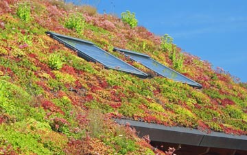 Ballyhackamore living roof systems