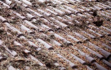 Ballyhackamore roof cleaning companies