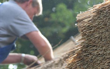 professional Ballyhackamore thatchers