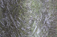 Ballyhackamore fibreglass roof work